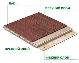 polarwood-struktura